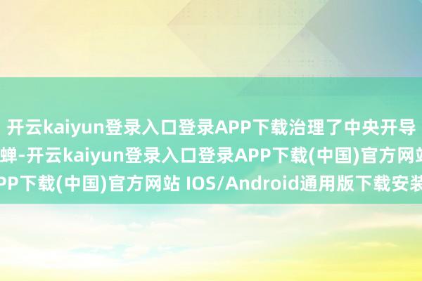 开云kaiyun登录入口登录APP下载治理了中央开导和抗日将士的黄雀伺蝉-开云kaiyun登录入口登录APP下载(中国)官方网站 IOS/Android通用版下载安装