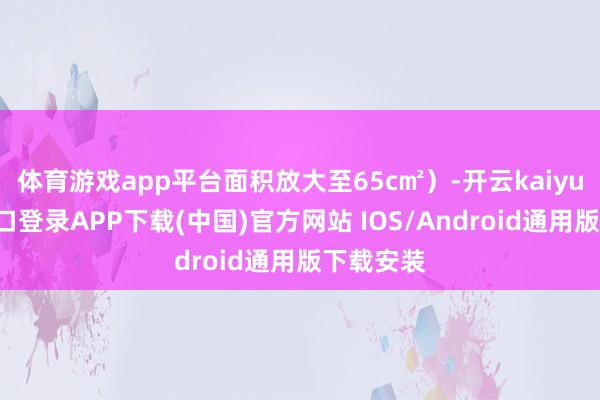 体育游戏app平台面积放大至65c㎡）-开云kaiyun登录入口登录APP下载(中国)官方网站 IOS/Android通用版下载安装