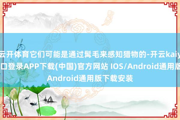 云开体育它们可能是通过髯毛来感知猎物的-开云kaiyun登录入口登录APP下载(中国)官方网站 IOS/Android通用版下载安装