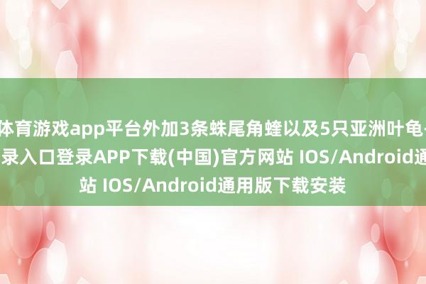 体育游戏app平台外加3条蛛尾角蝰以及5只亚洲叶龟-开云kaiyun登录入口登录APP下载(中国)官方网站 IOS/Android通用版下载安装