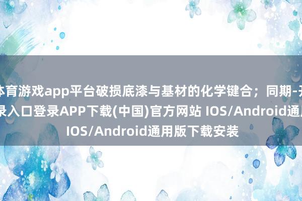 体育游戏app平台破损底漆与基材的化学键合;同期-开云kaiyun登录入口登录APP下载(中国)官方网站 IOS/Android通用版下载安装